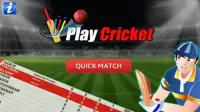 Play Cricket Screen Shot 3