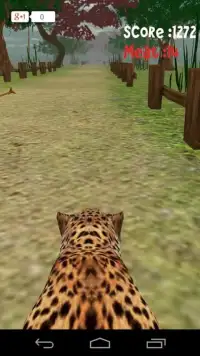Animal Run :Cheetah 3D Screen Shot 6