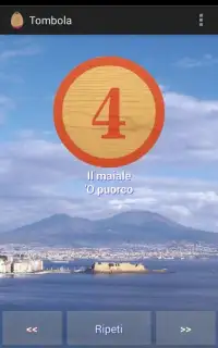 Tombola (Italian Bingo) Screen Shot 1