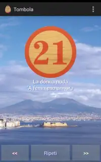 Tombola (Italian Bingo) Screen Shot 0