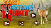 Forest Stag Hunt 3d: Deer Hunting Game Free 2018 Screen Shot 7
