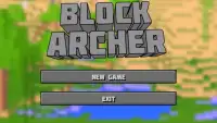 Block Archer Screen Shot 3