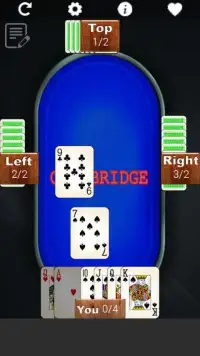 Call Bridge Lite Screen Shot 8