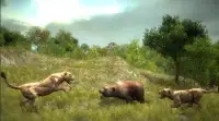 Angry Bear Simulator 3D - Be a Bear Game Screen Shot 3