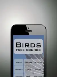 Birds funny sounds free Screen Shot 1