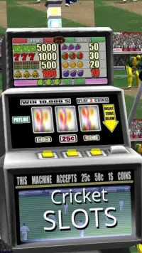Cricket Slots - Free Screen Shot 0