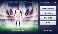 Perfect Soccer FreeKick 3D Screen Shot 1