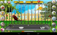 Parrot Pet Shop -Bird pet game Screen Shot 4