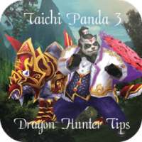 Dragon Hunter Taichi Panda 3 Chaos & Darkness Tips
