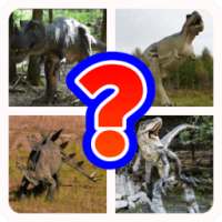 Dinosaur Quiz