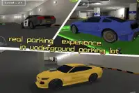 Parking3D:Underground Screen Shot 3