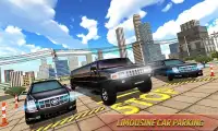 Limo Taxi Car Driving Simulator : Public Transport Screen Shot 8