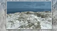 Island Survival - Winter Story Screen Shot 0