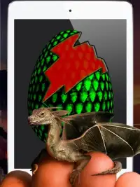 Dragon Eggs Screen Shot 1
