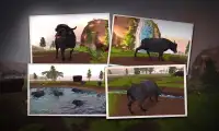 Wild Buffalo Simulator 3D Screen Shot 12