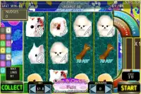 Cute Pets FFS Fun Free Slots ™ Screen Shot 5