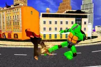 Turtle Warrior: Ninja Shadow Crime Battle Screen Shot 3