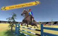 Horse Riding & Jumping Show: Simulator Screen Shot 3