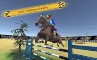 kuda berkuda & melompat menunjukkan: simulator Screen Shot 2