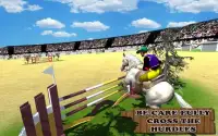Horse Riding & Jumping Show: Simulator Screen Shot 0
