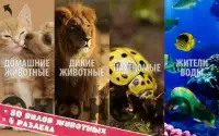 Животные для детей и малышей + Игры, Стихи, Пазлы Screen Shot 9
