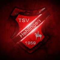 TSV Hehlingen - Fußball