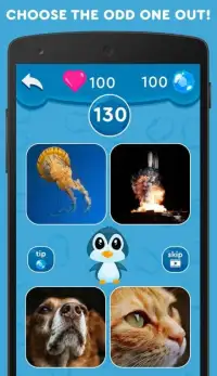 4 pics. Odd one out: Penguin Quiz Screen Shot 7