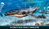 Scary Blue Whale Ocean Predator 2017 Screen Shot 11