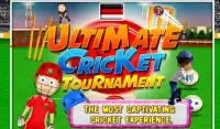 Ultimate Cricket Tournament Screen Shot 4
