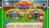 Ultimate Cricket Tournament Screen Shot 1