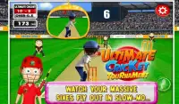 Окончательный Крикет турнир Screen Shot 2
