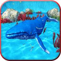 Игра «Синий кит»: сердитый симулятор акулы
