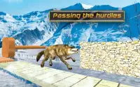 Wolf Adventure Simulator Screen Shot 0
