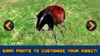 Ladybug Insect Simulator 3D Screen Shot 1