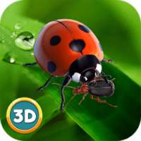 Ladybug Insect Simulator 3D