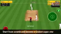 Cricket Career 2016 Screen Shot 7