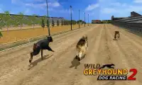 Wild Greyhound Dog Racing 2 Screen Shot 1