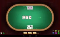 Texas Hold'em Poker Screen Shot 14