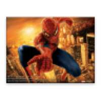 Spider Man Memory Game