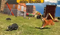 Street Cat Sim 2016 Screen Shot 3