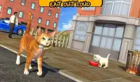 Street Cat Sim 2016 Screen Shot 4