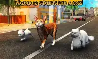 Street Cat Sim 2016 Screen Shot 12