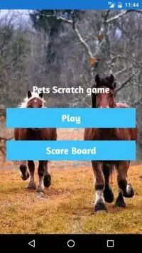 Pets Scratch game Screen Shot 3