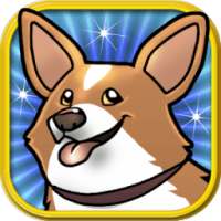 The Big Corgi Run