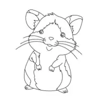 Drawing a Hamster Screen Shot 1