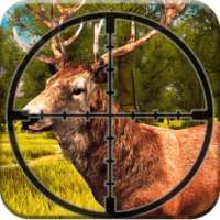 Deer Hunt Sniper Shooter Animal Hunter Games