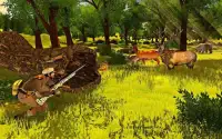 Deer Hunt Sniper Shooter Animal Hunter Games Screen Shot 1