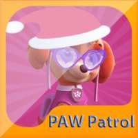 Paw Skye Hero Of The patrol