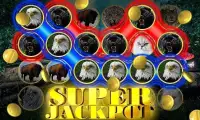 Wild Cat Slot: Real Jackpot & Super Hot Wins Screen Shot 7