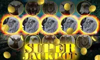 Wild Cat Slot: Real Jackpot & Super Hot Wins Screen Shot 6